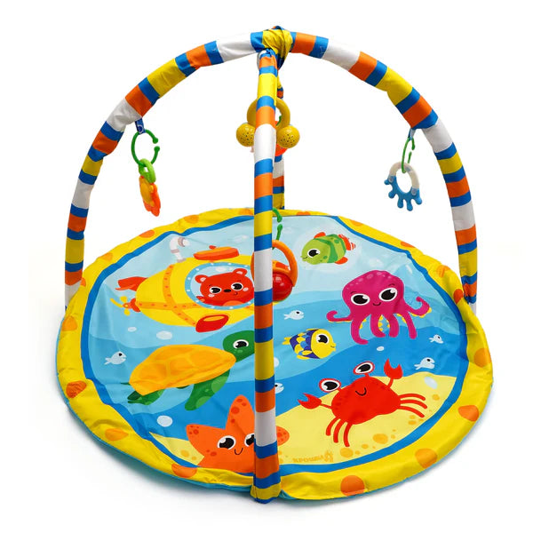 Rattle Playgym